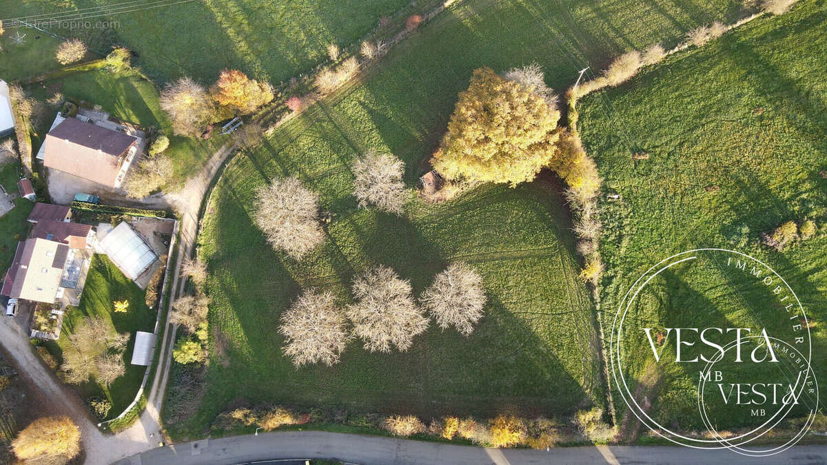 Terrain à MONTENOIS