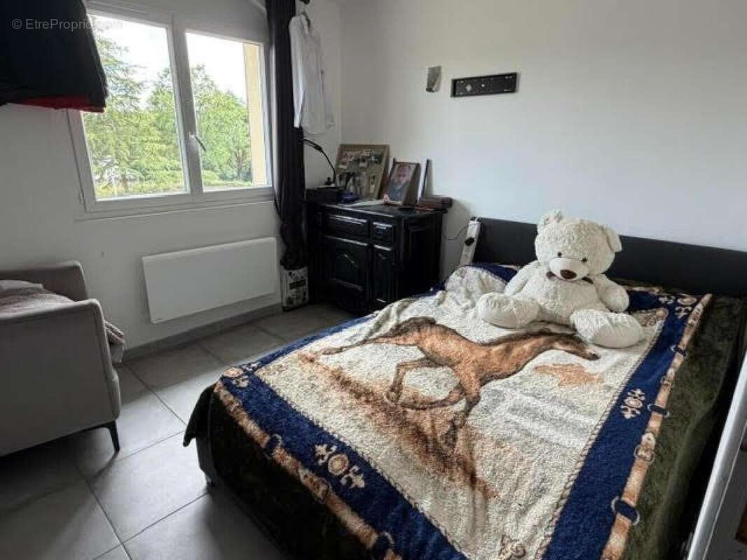 Maison 218 m² à Thevet-Saint-Julien  - photo 7