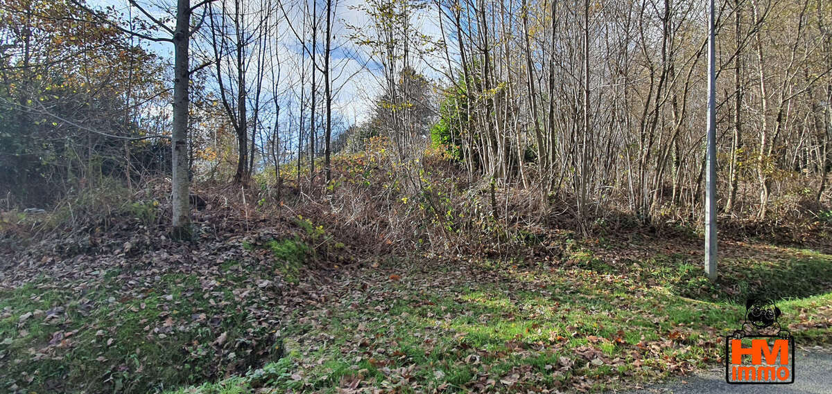Terrain à LADIGNAC-LE-LONG