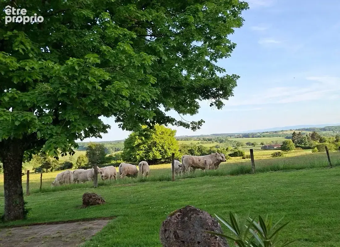 Longere de charme - photo 5
