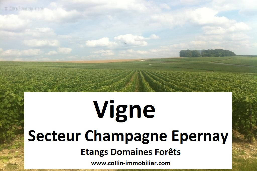 Terrain à EPERNAY