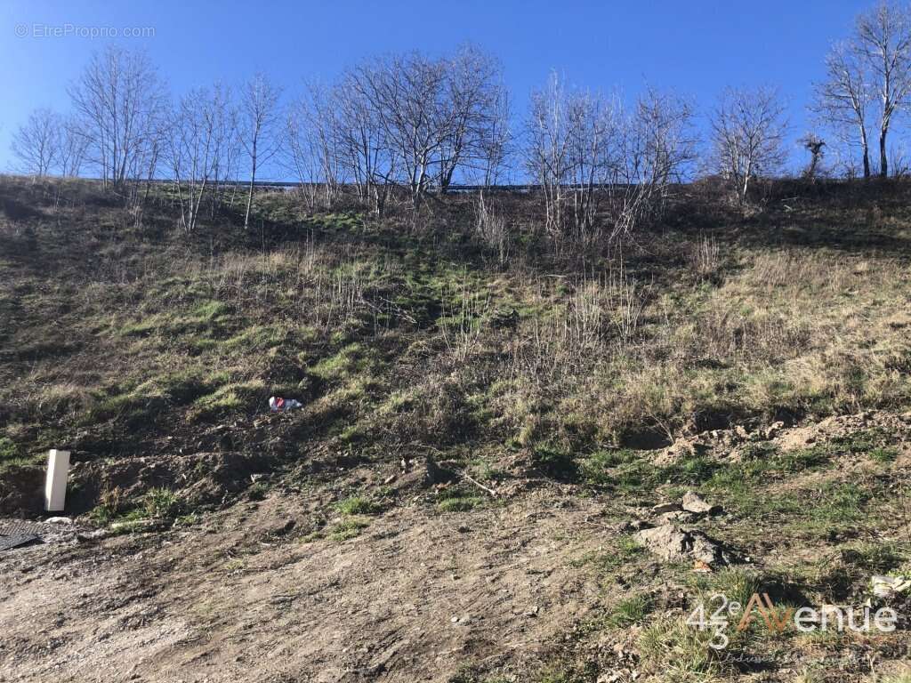 Terrain à SAINT-FERREOL-D&#039;AUROURE