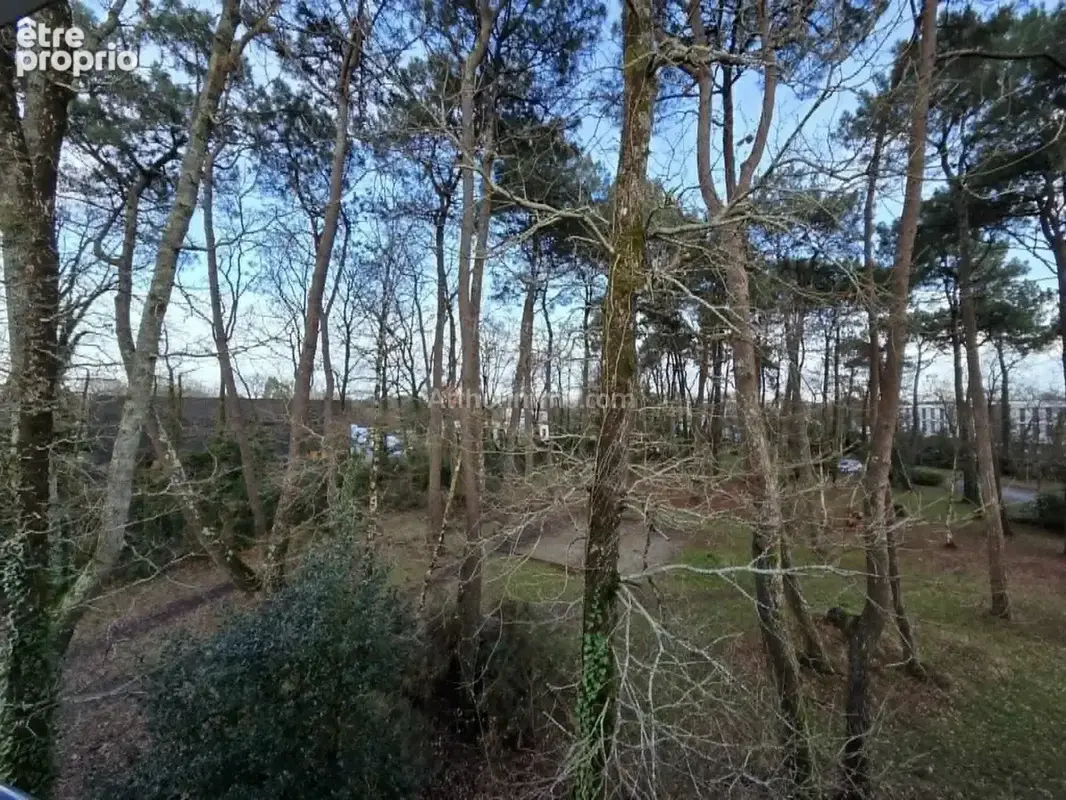 Vente Appartement Plescop(56890) 90 990ï¿œ - photo 9