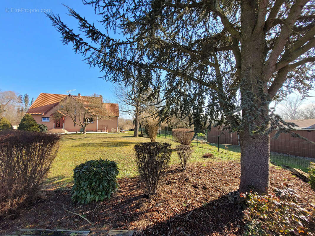 Maison à BALTZENHEIM