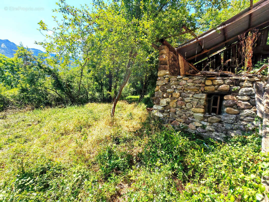 Photo 2 - Maison à BELVEDERE