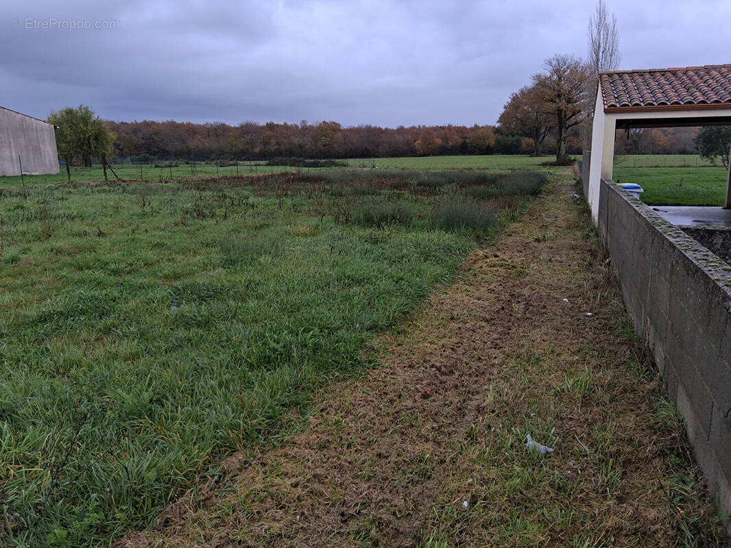 Terrain à SAINT-JEAN-D&#039;ANGLE