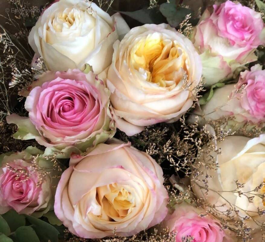 Autre à RUEIL-MALMAISON