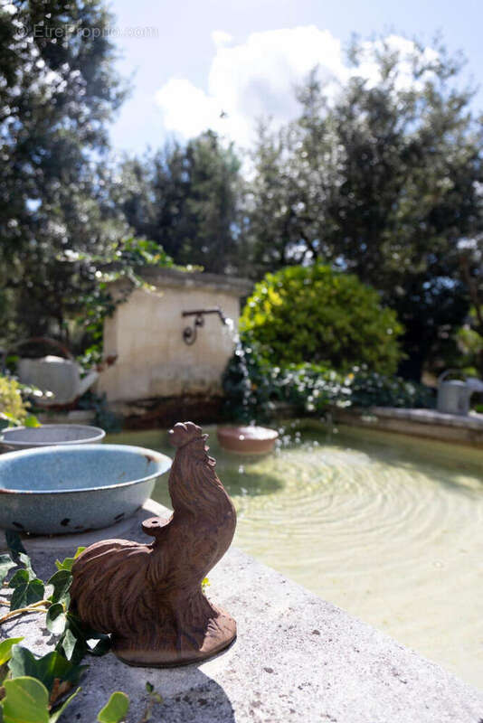 Maison 237m² à lacoste - photo 4