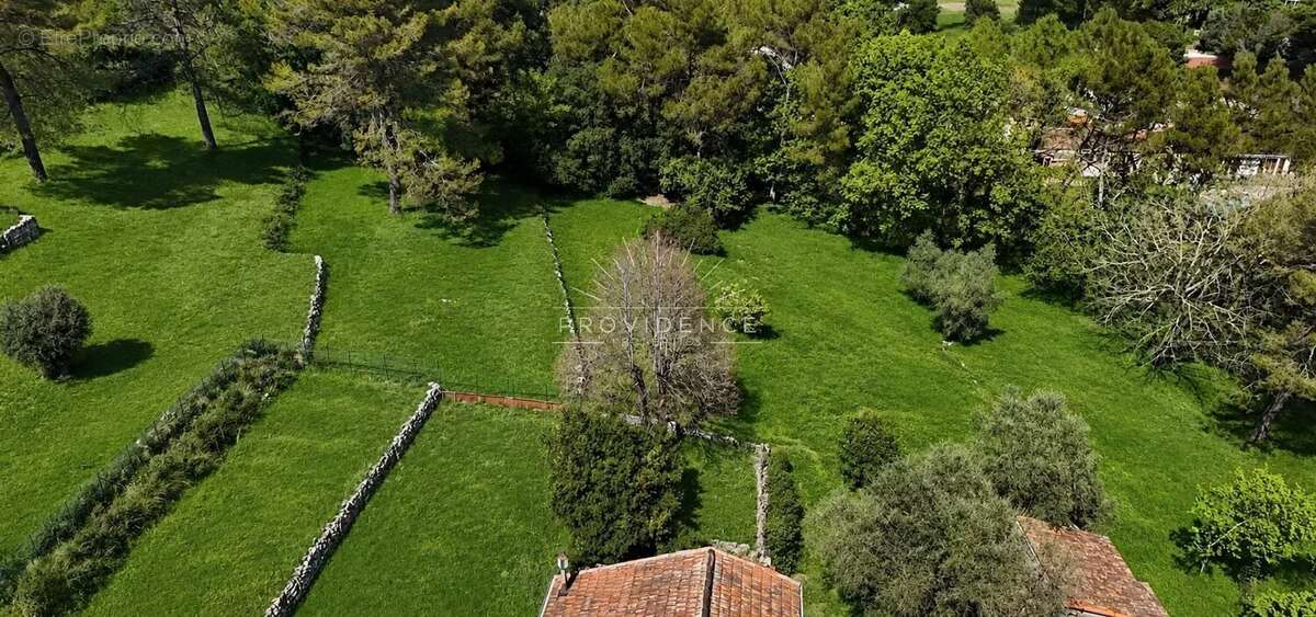 Mougins - opportunité foncière exceptionnelle de 7 509 m² - photo 3
