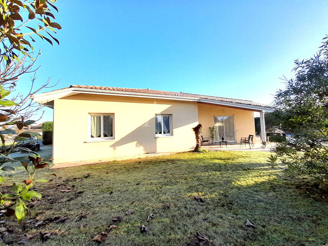 Maison à VILLENEUVE-DE-MARSAN