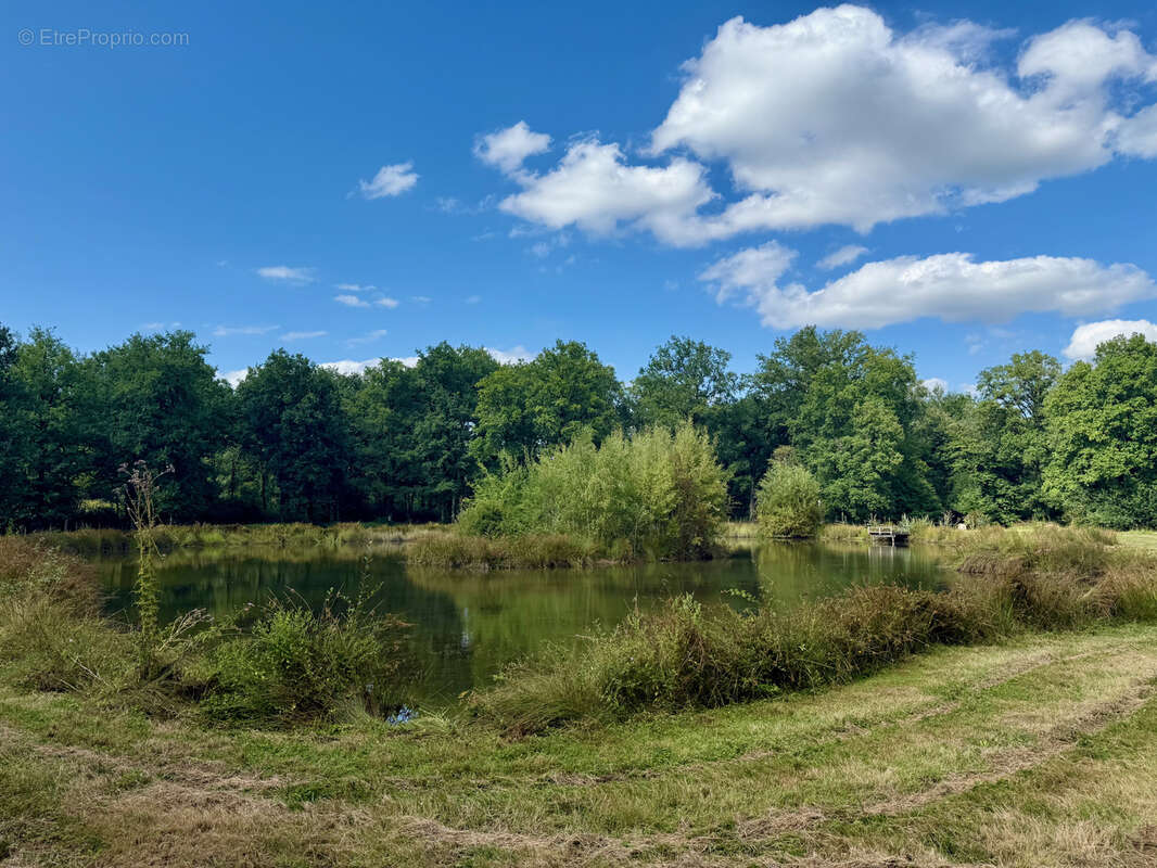 Terrain à MONTIGNE-LES-RAIRIES