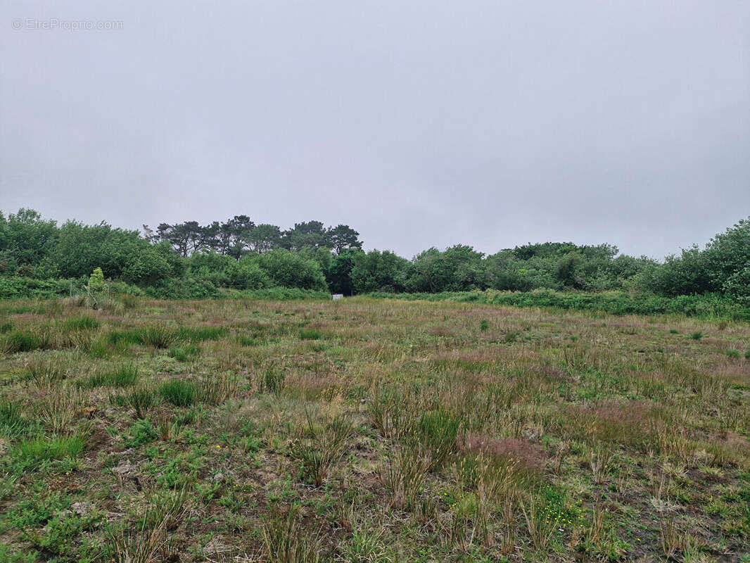 Terrain à LANDUNVEZ