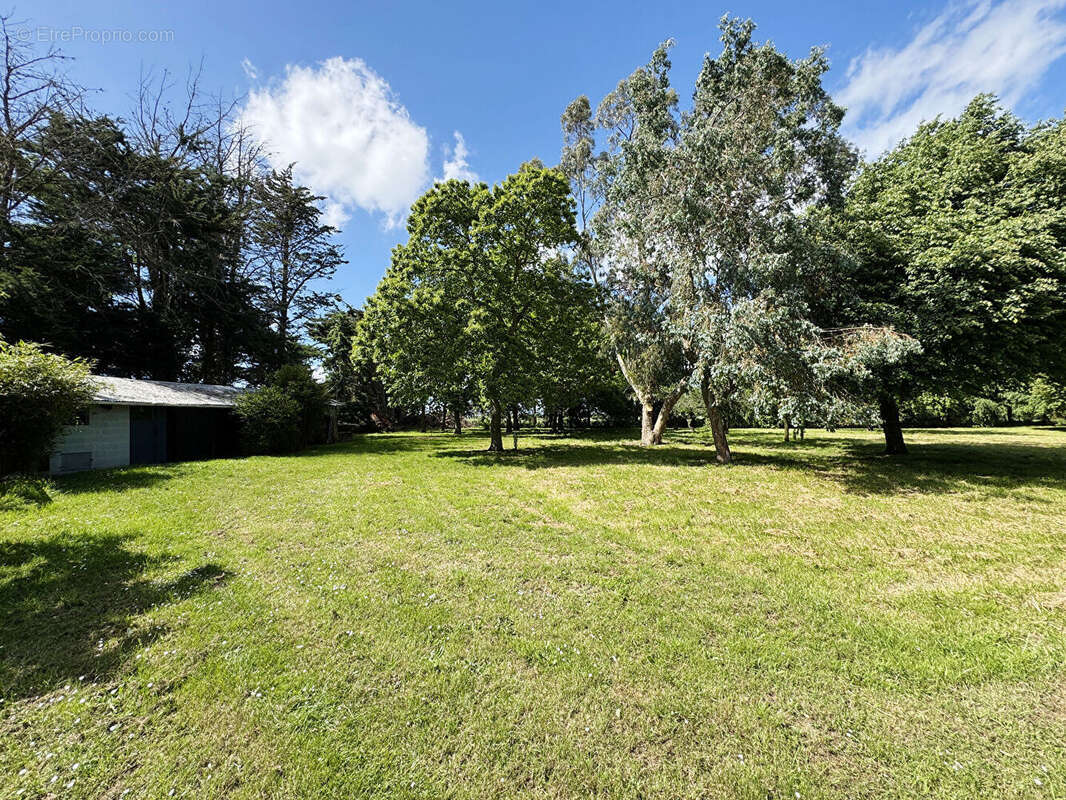 Maison à PLAINE-HAUTE