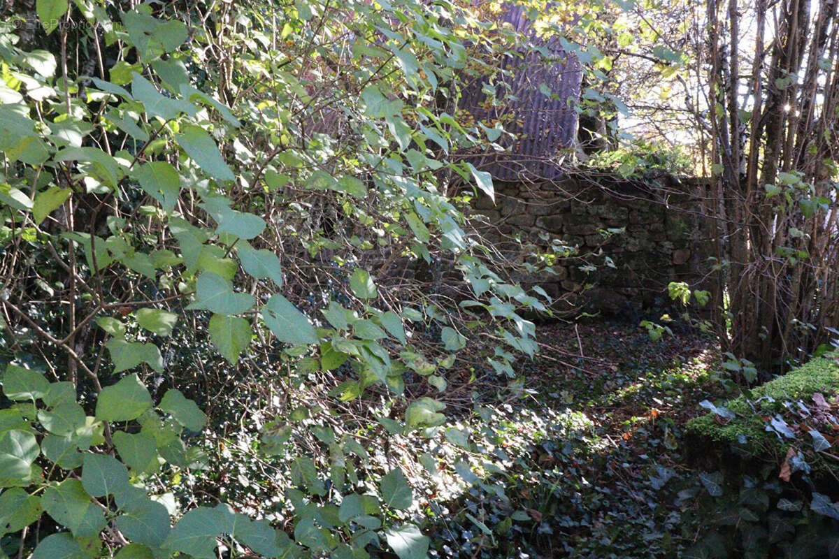 Autre à SAINT-AUGUSTIN