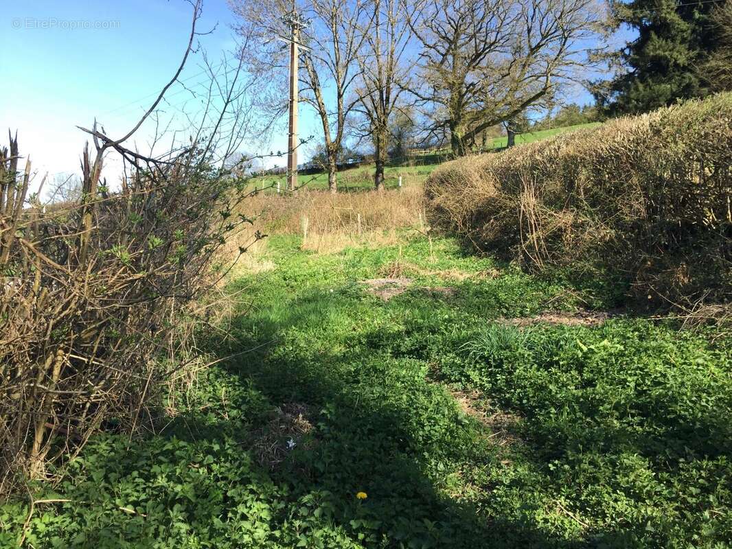 Maison à AIGUEPERSE