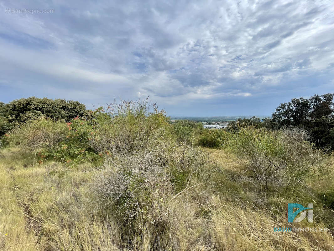 Terrain à SAINT-THIBERY