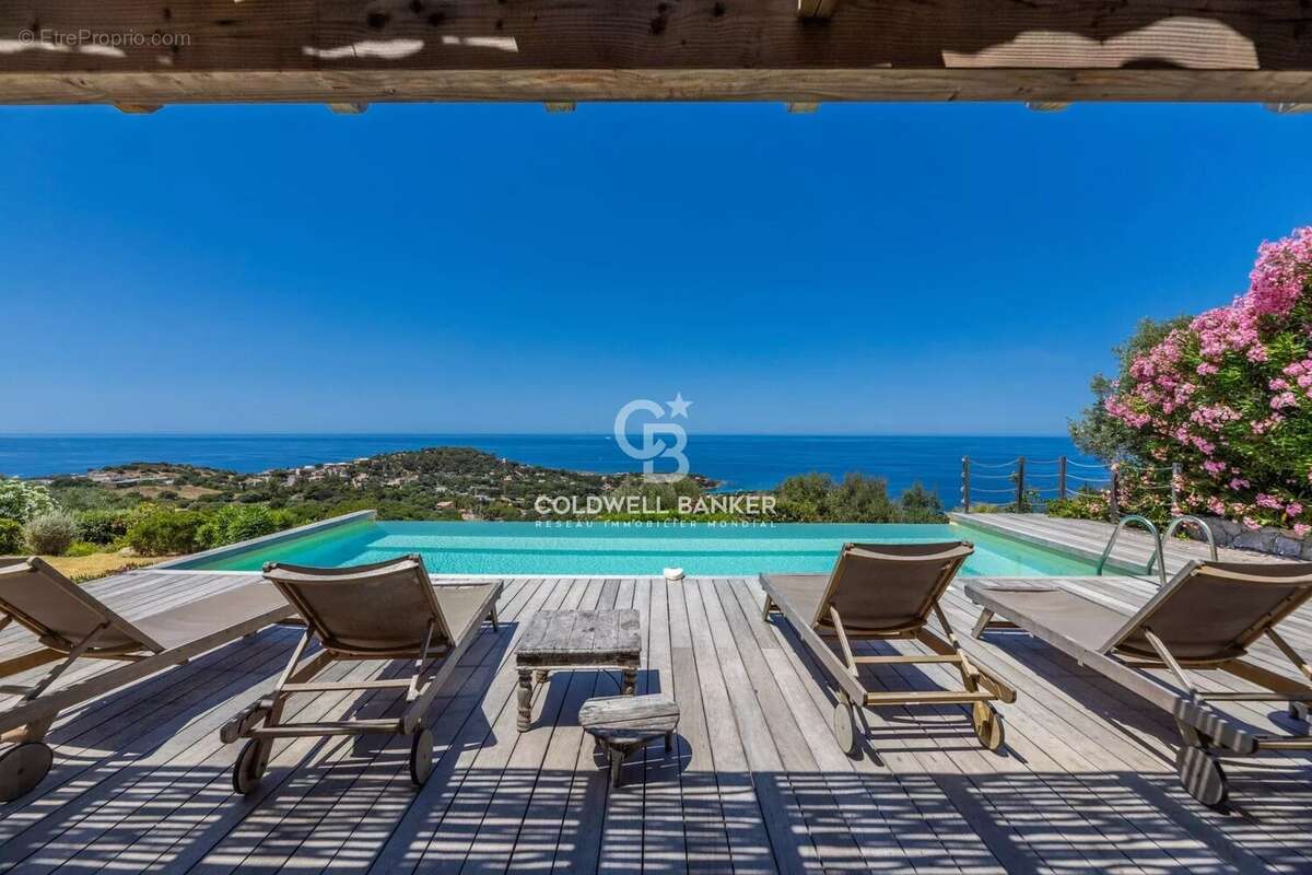 Corbara - Villa de Charme vue Panoramique - photo 52
