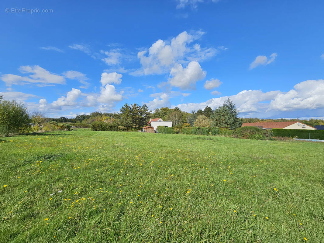 Terrain à SERBANNES