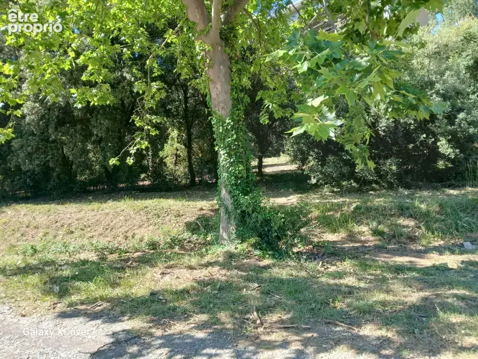 Terrain 1 932 m² à vendre à Les Cluses (66480) - photo 3