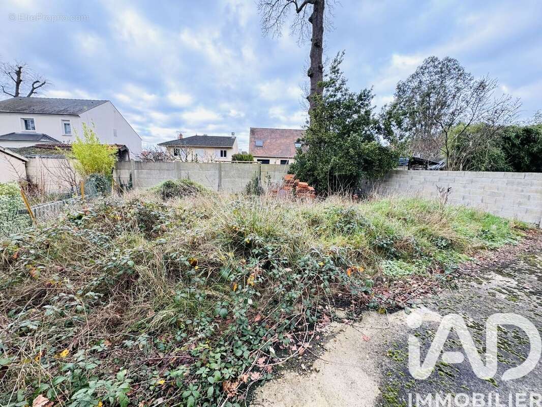 Photo 6 - Terrain à SAINTE-GENEVIEVE-DES-BOIS