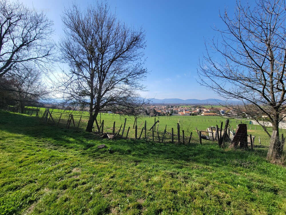 Terrain à ASSIEU