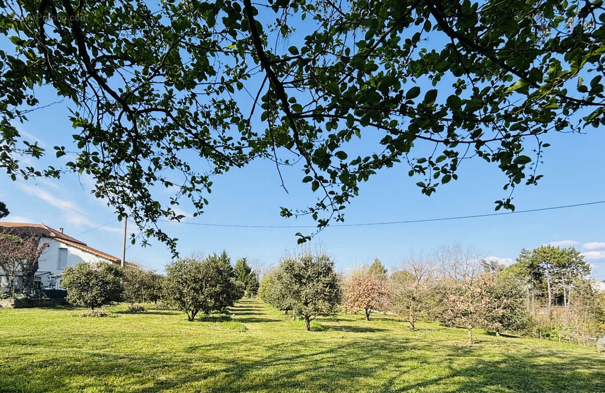 Maison à ROMANS-SUR-ISERE