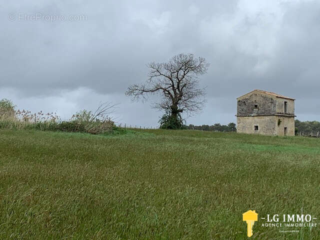 Terrain à SAINT-BONNET-SUR-GIRONDE