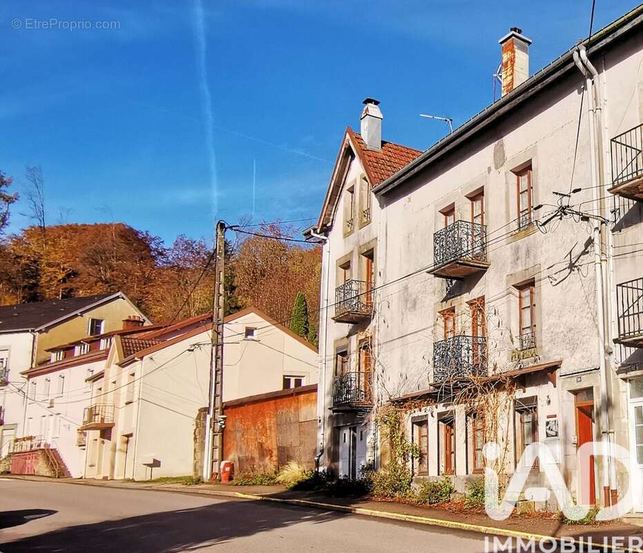 Photo 3 - Maison à PLOMBIERES-LES-BAINS