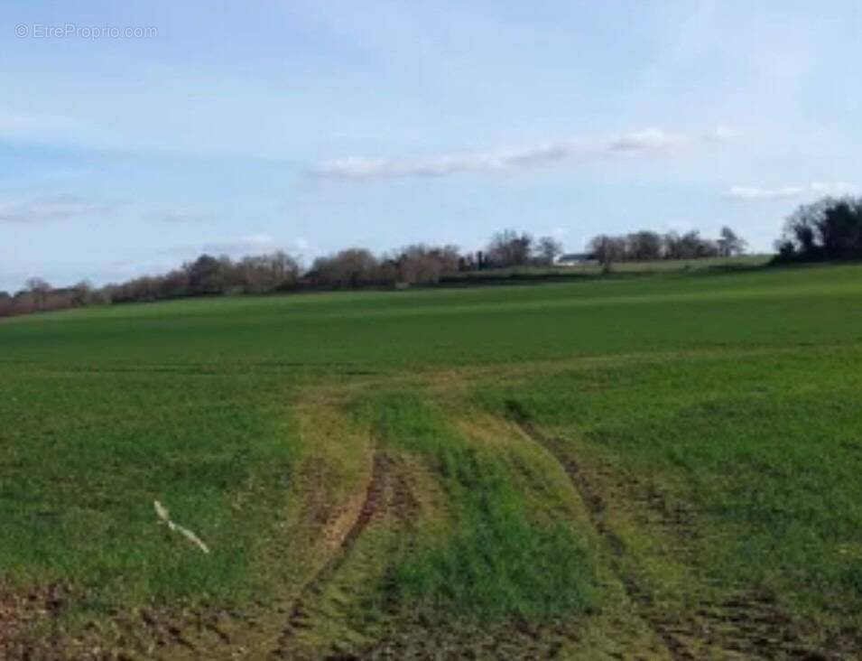 Terrain à MONTIGNY-EN-OSTREVENT
