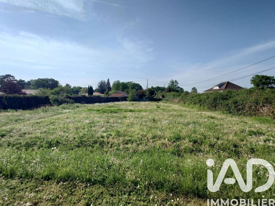 Photo 3 - Maison à SAINT-JUNIEN