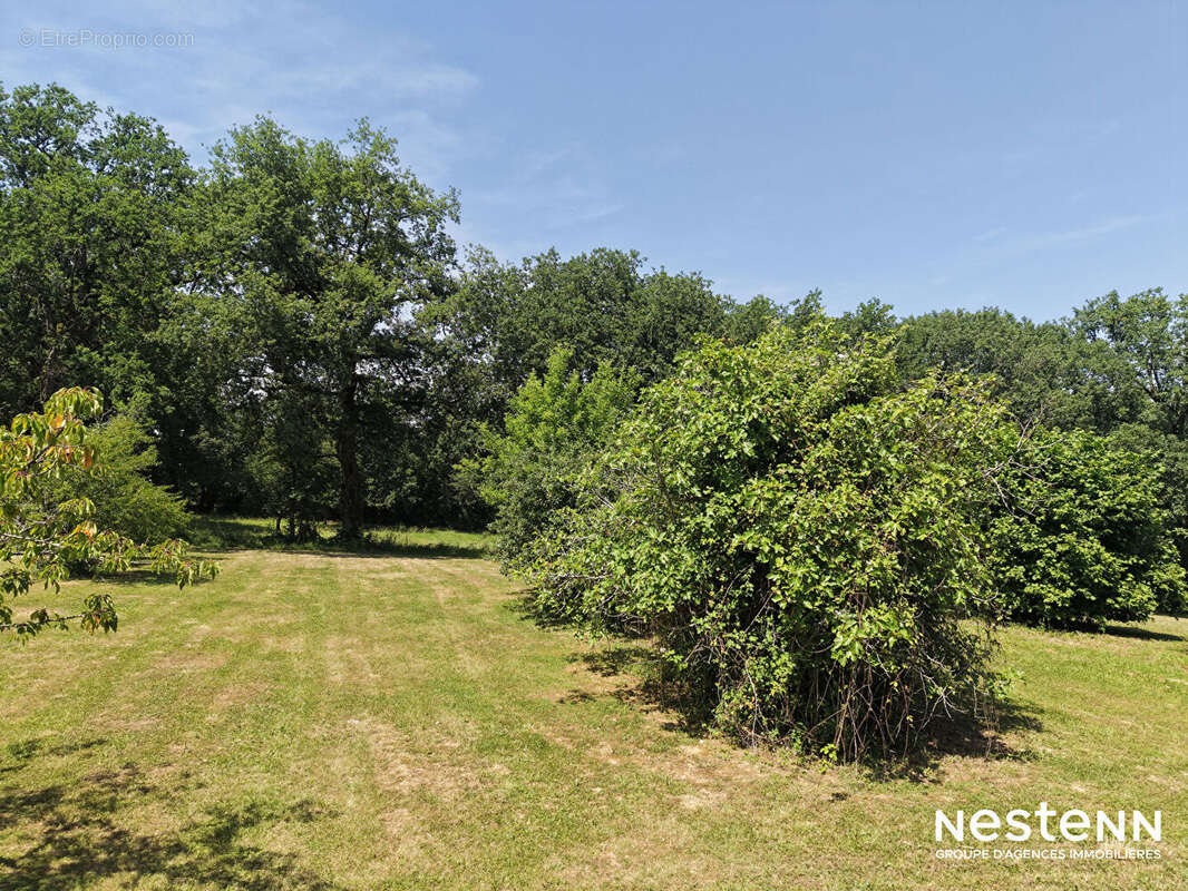 A Vendre Bâtisse en pierre de 255 m² avec dépendance attenante sur terrain de plus de 3 200 m² - photo 17