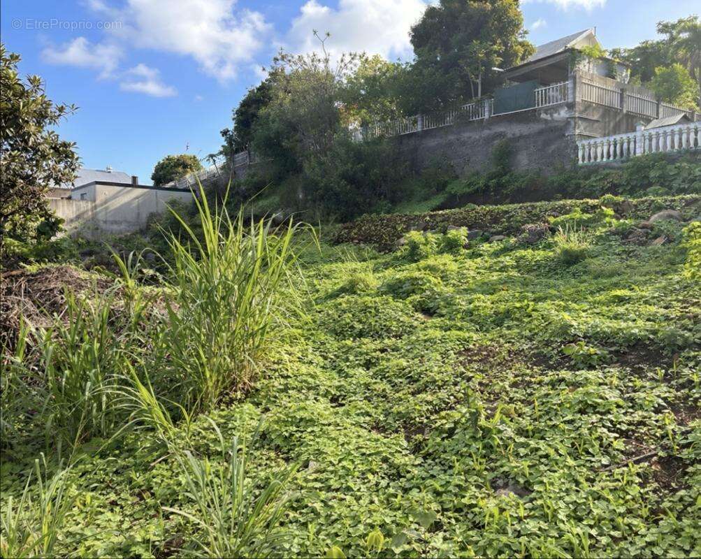 Terrain à SAINT-PAUL