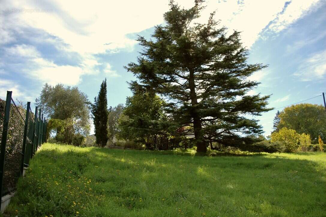 Terrain à MIRAMBEAU