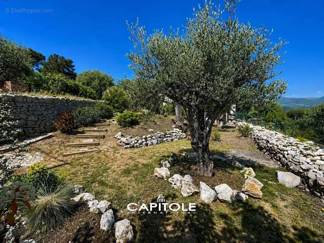 Maison à ROQUEFORT-LES-PINS