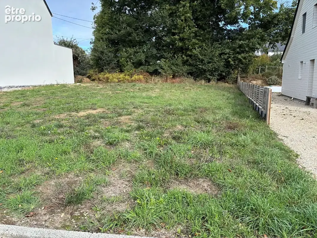 LE BONO , superbe terrain de 429 m² , le port à pieds - photo 5