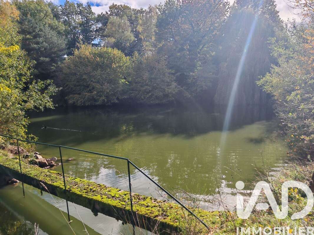 Photo 6 - Terrain à NERIS-LES-BAINS