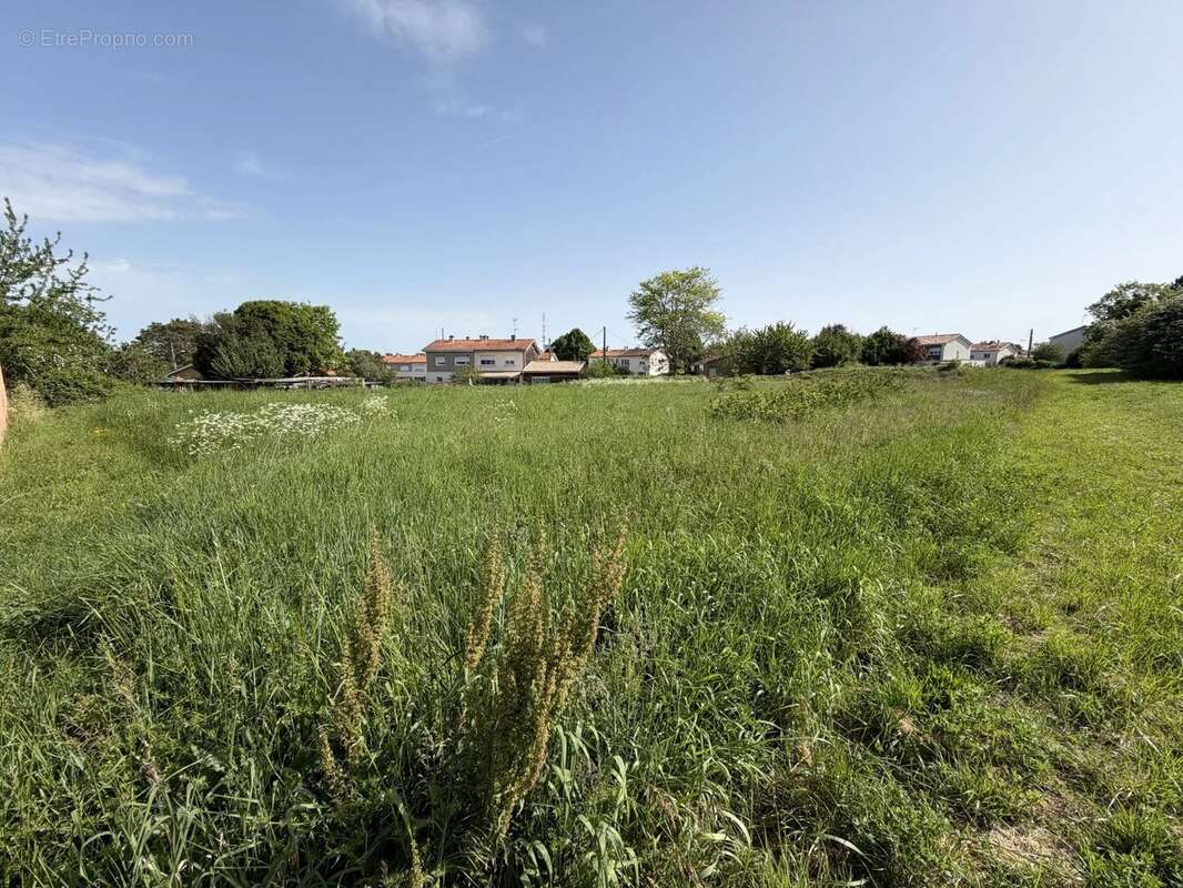 Terrain à BLAYE