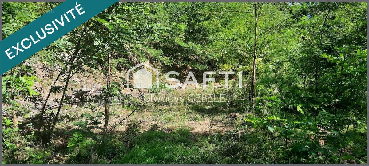 Photo 4 - Terrain à LUTTENBACH-PRES-MUNSTER