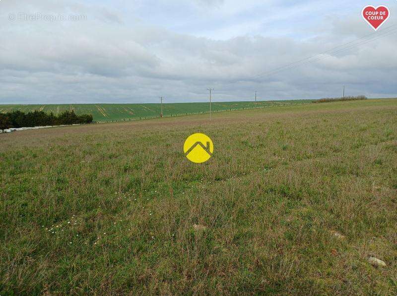 Terrain constructible 995 m2 - photo 4