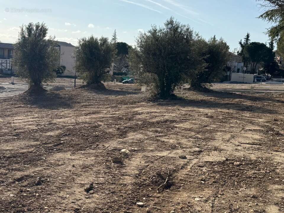 Terrain 238 m² à Manosque  - photo 2
