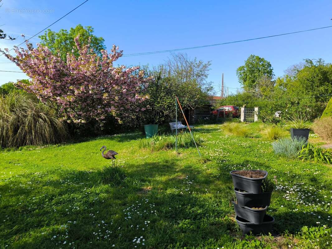 Maison 83 m² à Coutras  - photo 35