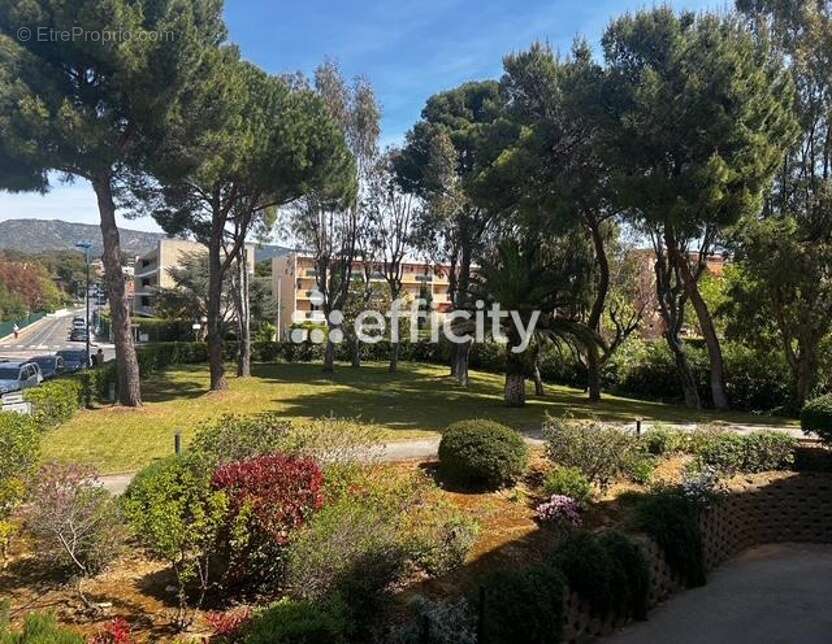 Appartement à BORMES-LES-MIMOSAS