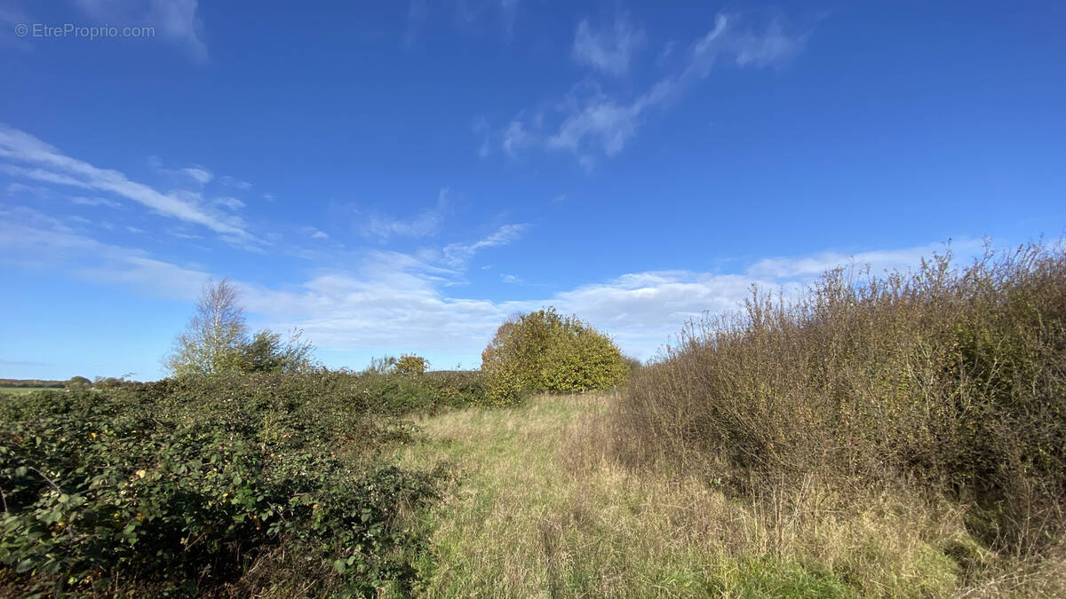 Terrain à LA POTERIE-AU-PERCHE