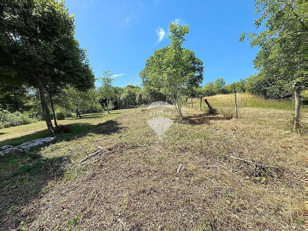 Terrain  à vendre - photo 2