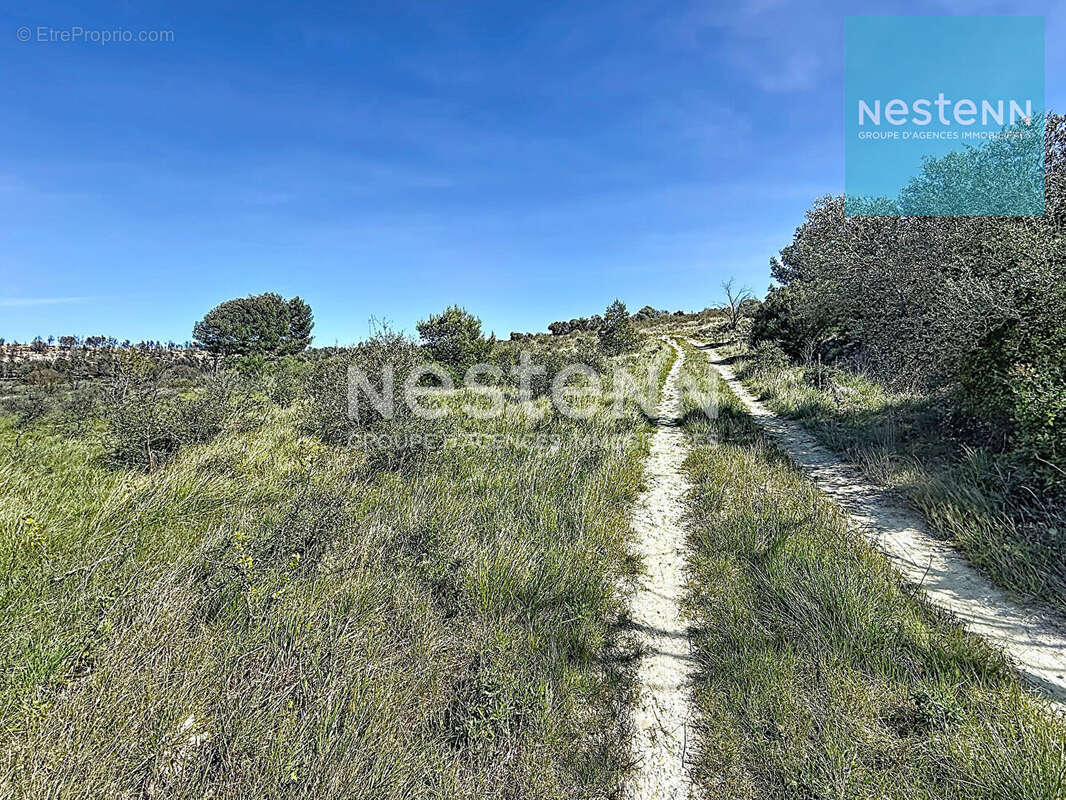 Terrain à SIGEAN