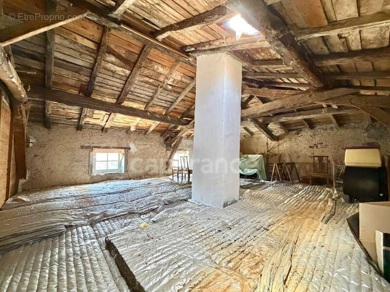 Maison de bourg de 100 m2, 3 chambres, terrain attenant de 371 m2 + 2450 m2 indépendant, 200 m2 de dépendances, caves, fibre opt - photo 27