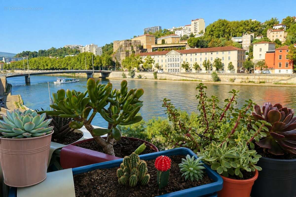 Appartement à vendre 2 pièces LYON 9EME ARRONDISSEMENT (69) - Quai de Scize - Front de Saone - photo 9