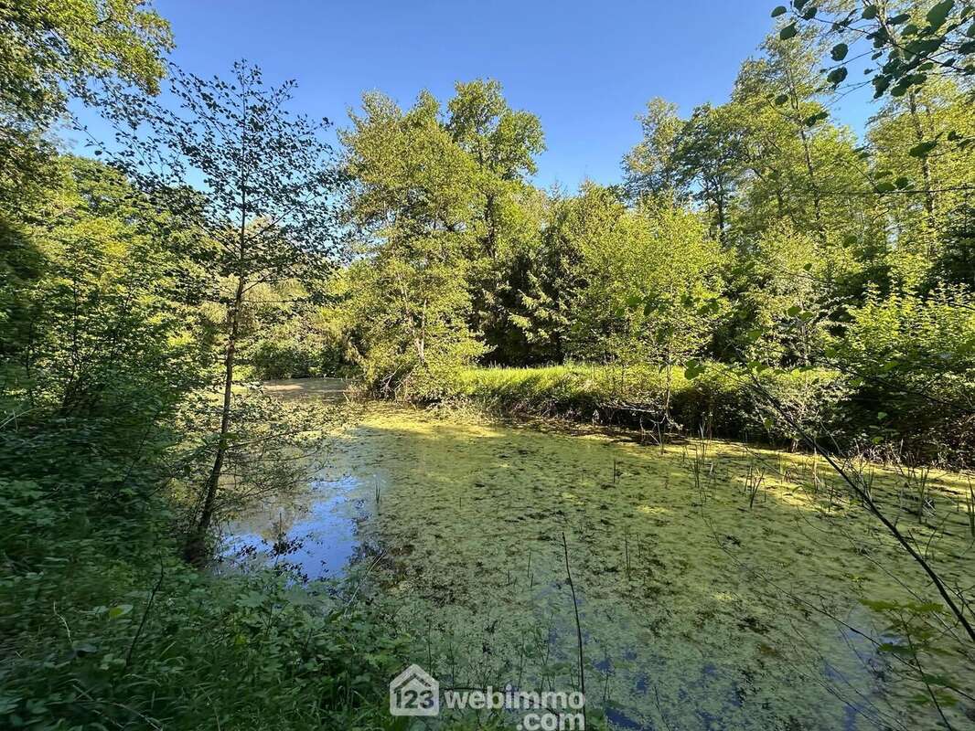 Vous apprécierez l'environnement et .. - Terrain à PARFONDRU