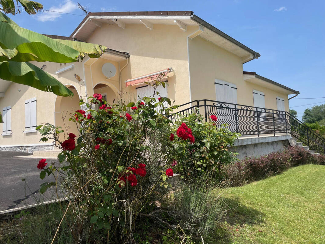 IMG_0438 - Maison à OLORON-SAINTE-MARIE