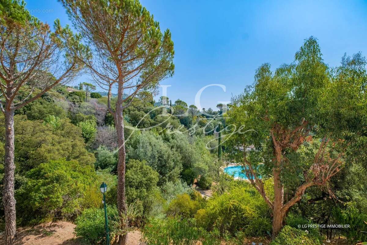 Vue degagee sur verdure et piscine - photo 2